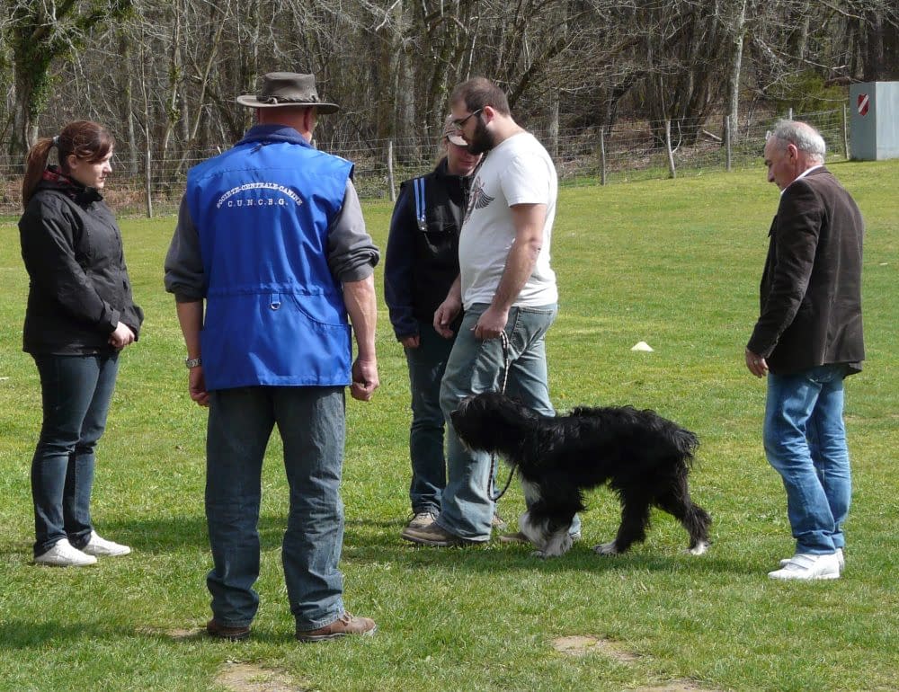 CSAU Le certificat de sociabilité et d’aptitude à l’utilisation ou CSAU est ouvert à tous les propriétaires de chiens, avec ou sans inscription à un Livre des O Club d'éducation canine de SOURZAC (24) Dordogne CSAU Club d'éducation canine de SOURZAC (24) Dordogne